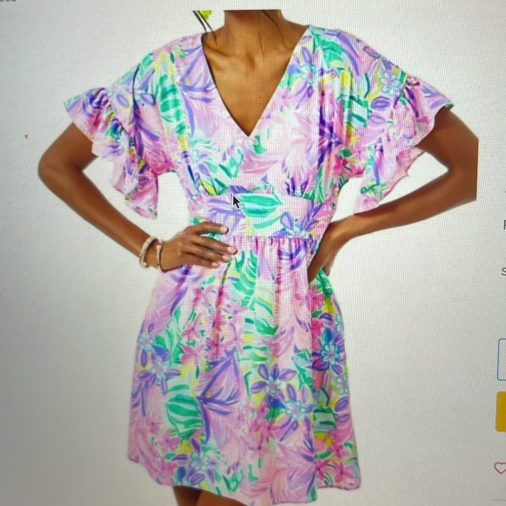 Lilly Pulitzer Blair floral dress sz 0